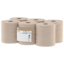 Satino PureSoft Handtuchrolle Innenabwicklung Satino PureSoft Handtuchrolle Innenabwicklung